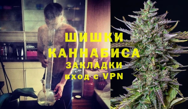 Альфа ПВП Пересвет