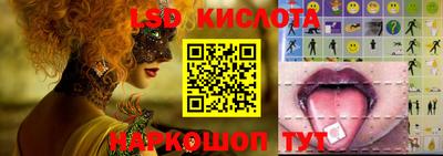 эйфоретик Краснодар