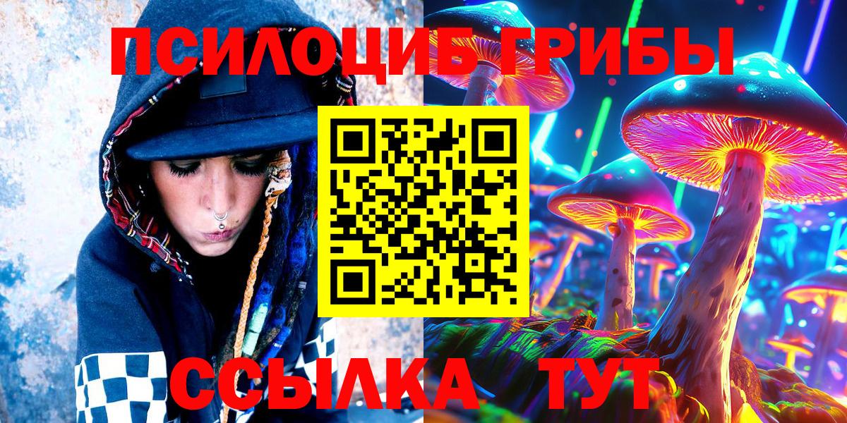 Псилоцибиновые грибы мицелий Иваново