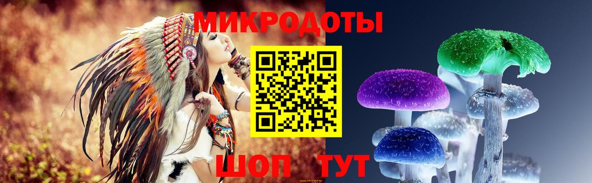Иваново  Галлюциногенные грибы Psilocybine cubensis  Вход с VPN 